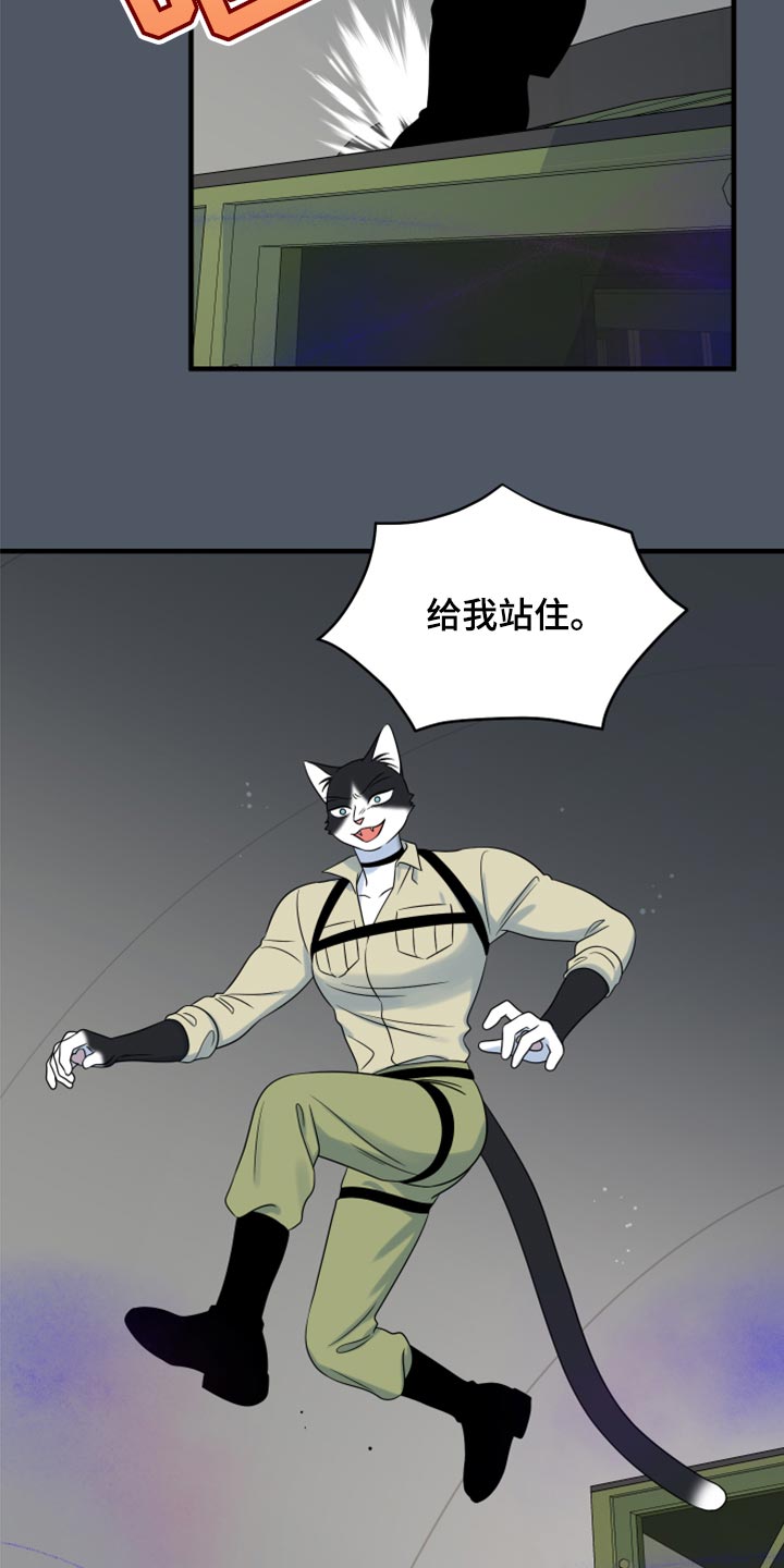 第83章：【第二季】捕猎15