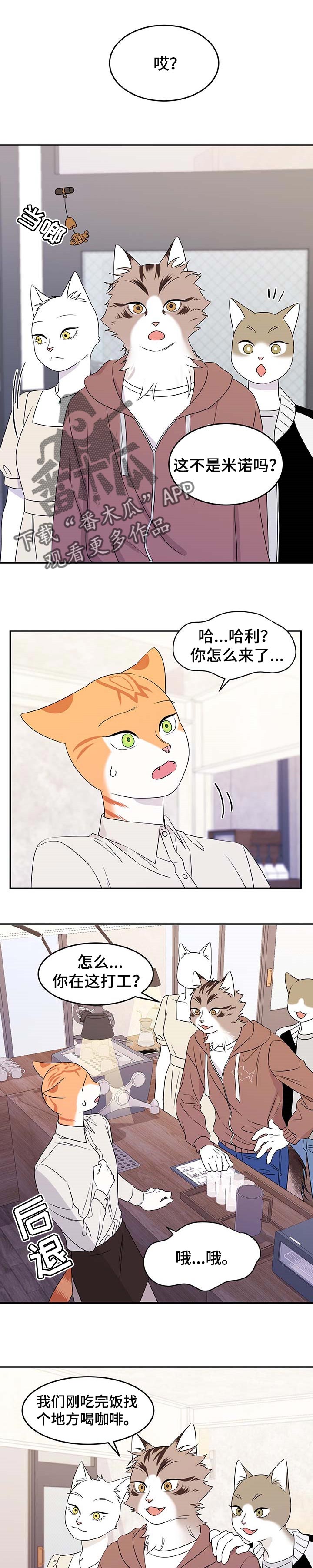 第23章：担心0