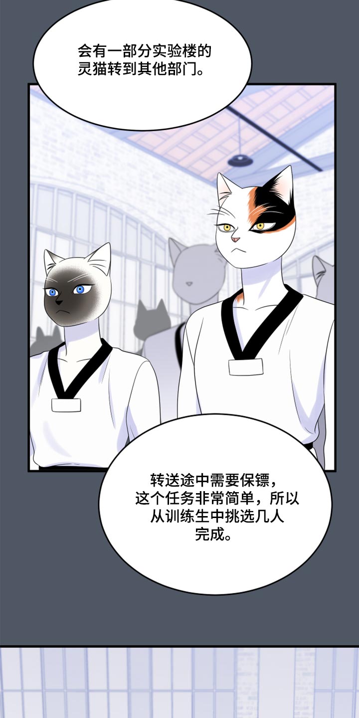 第76章：【第二季】有什么特别15