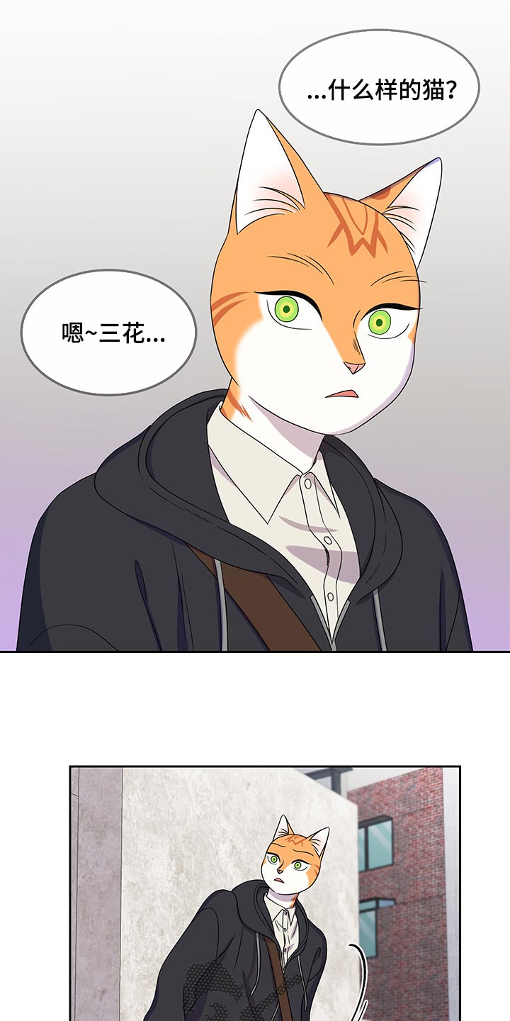 第43章：世道不太平23