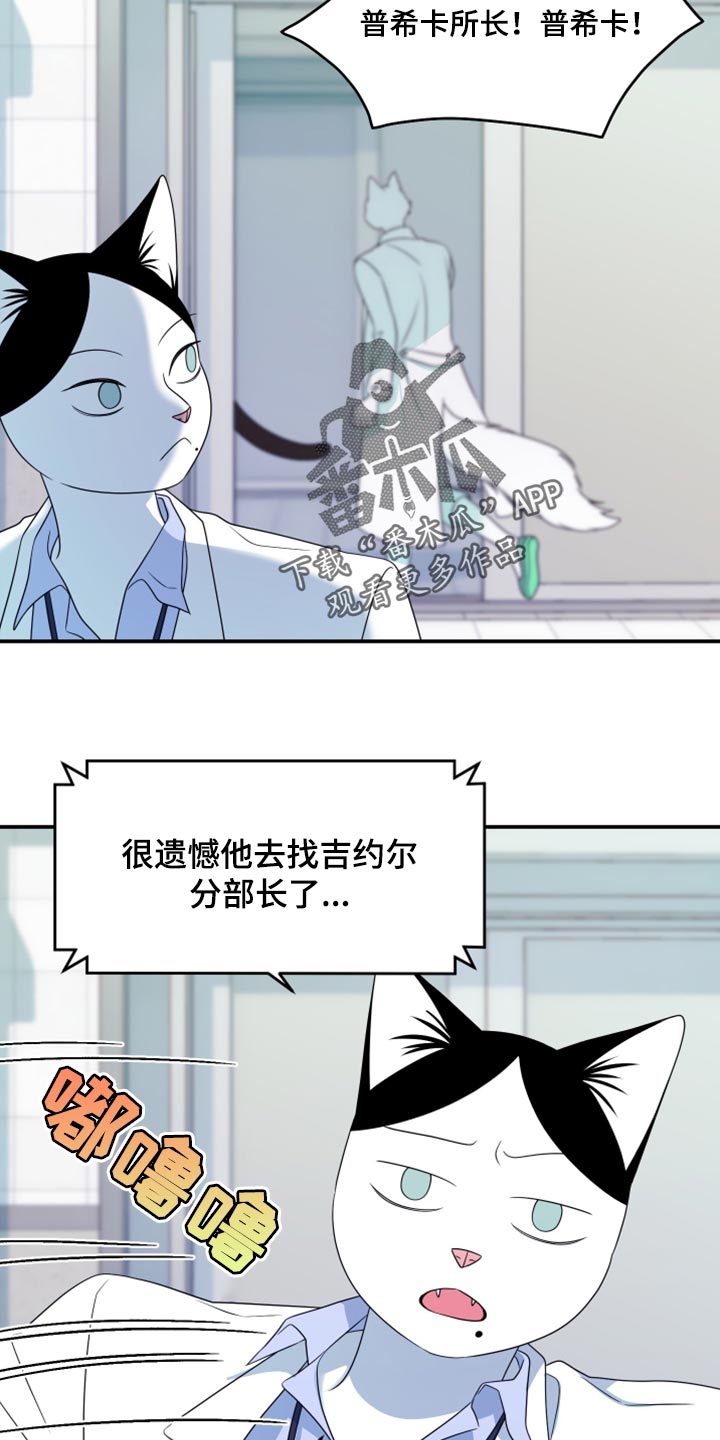 第57章：【第二季】新来的18