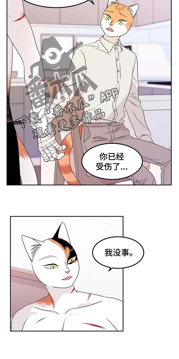第45章：别哭11