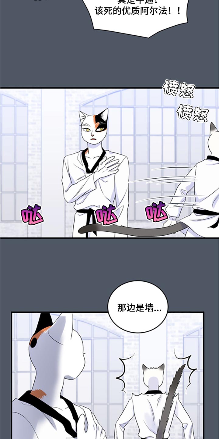 第77章：【第二季】一定要在一起！3