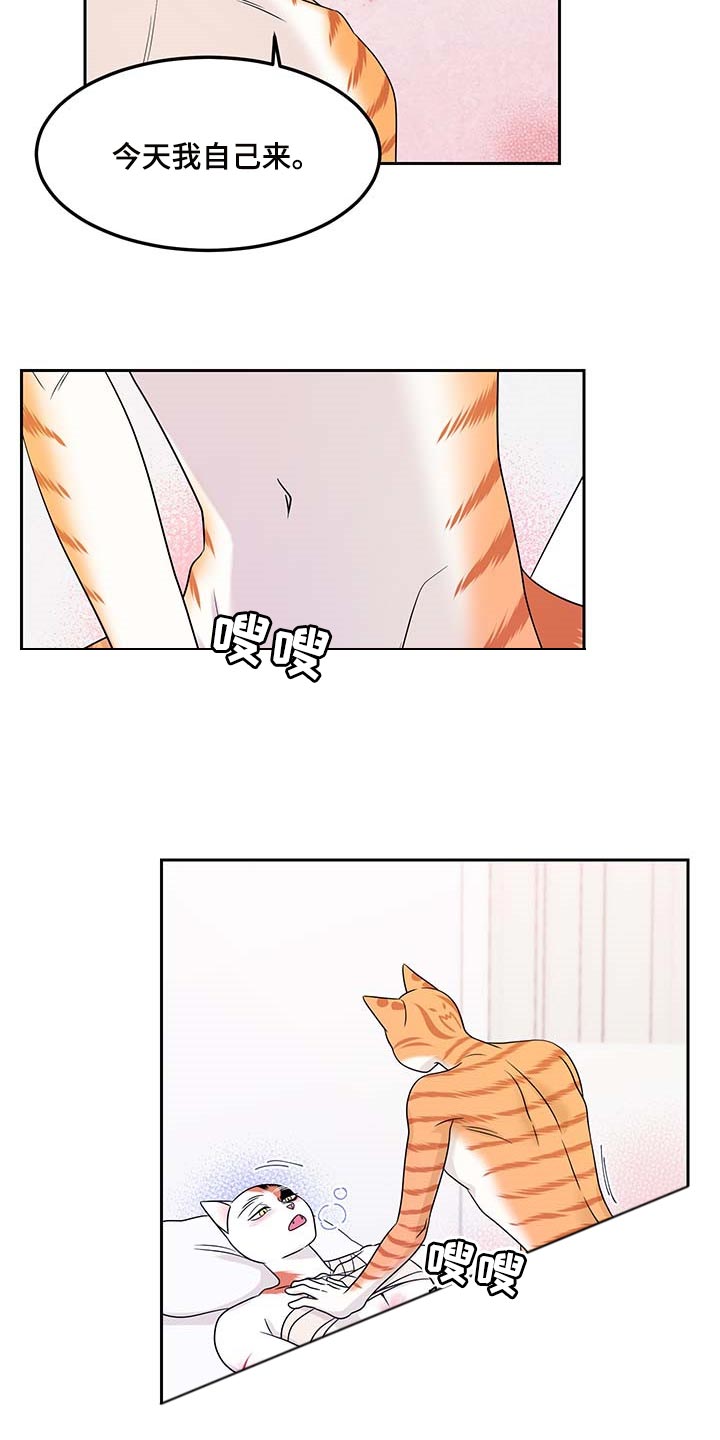 第46章：征服6