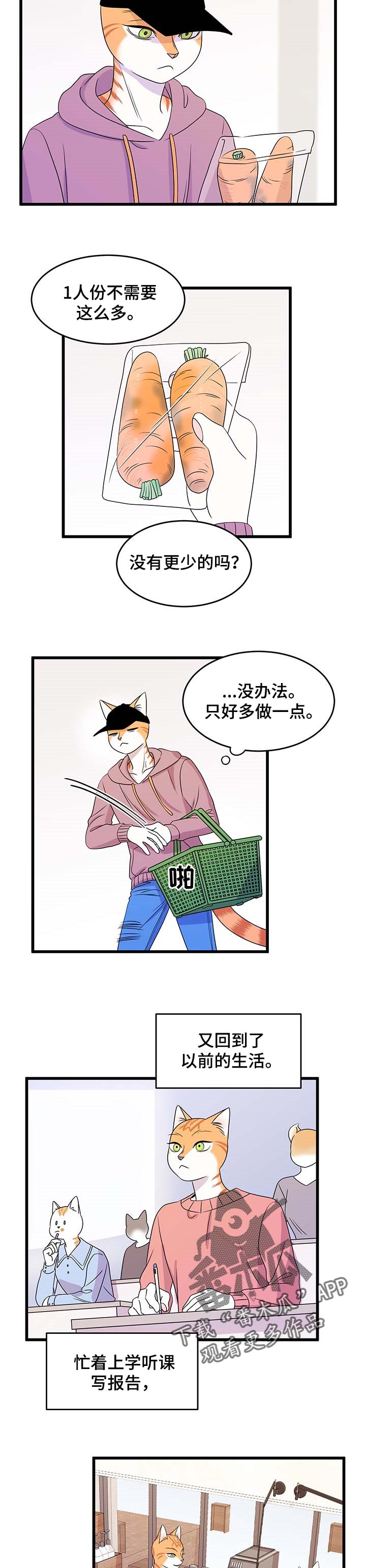 第26章：心痛7