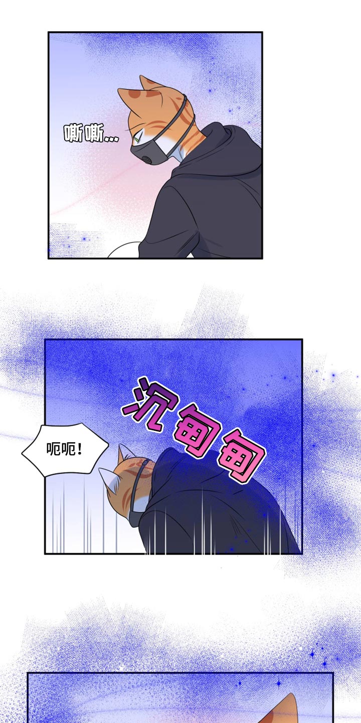 第62章：【第二季】撑过这一次就行13