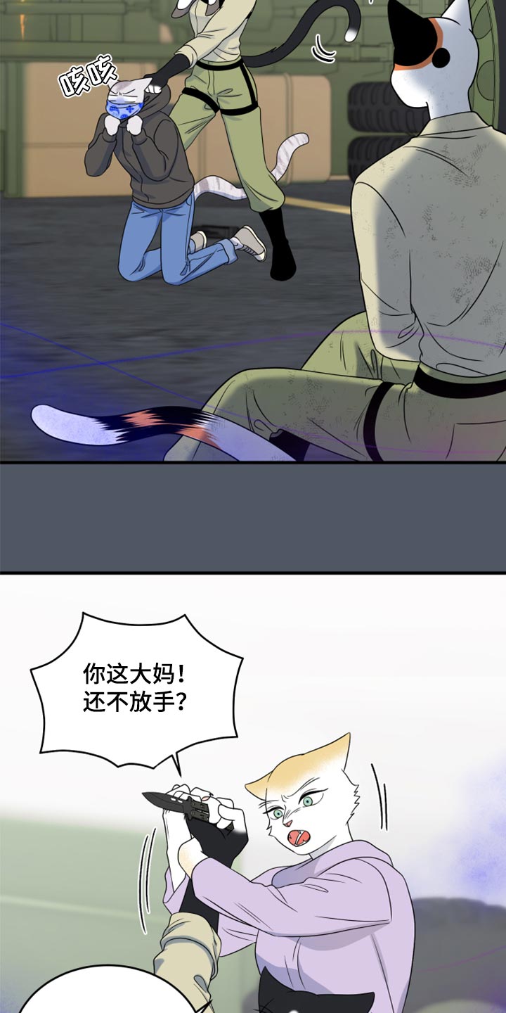 第84章：【第二季】爆炸11