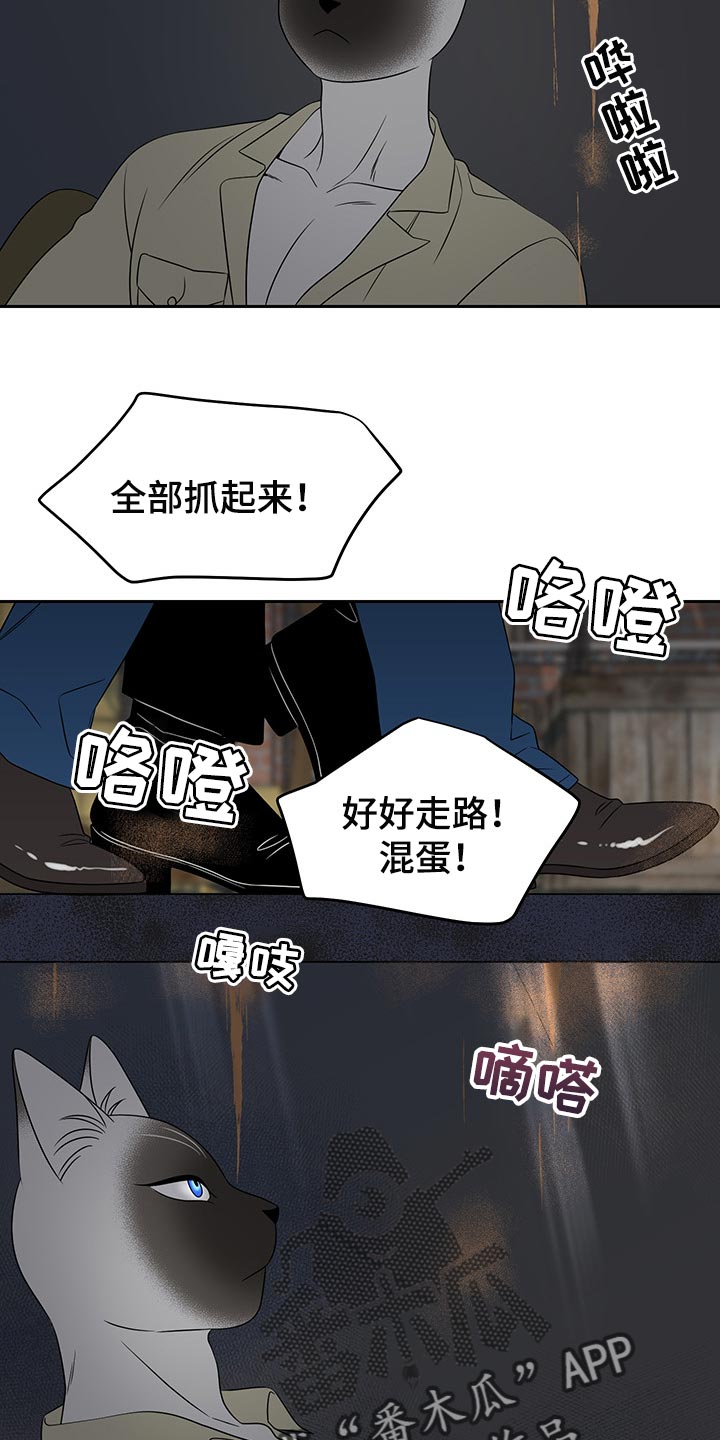 第40章：平凡的生活5