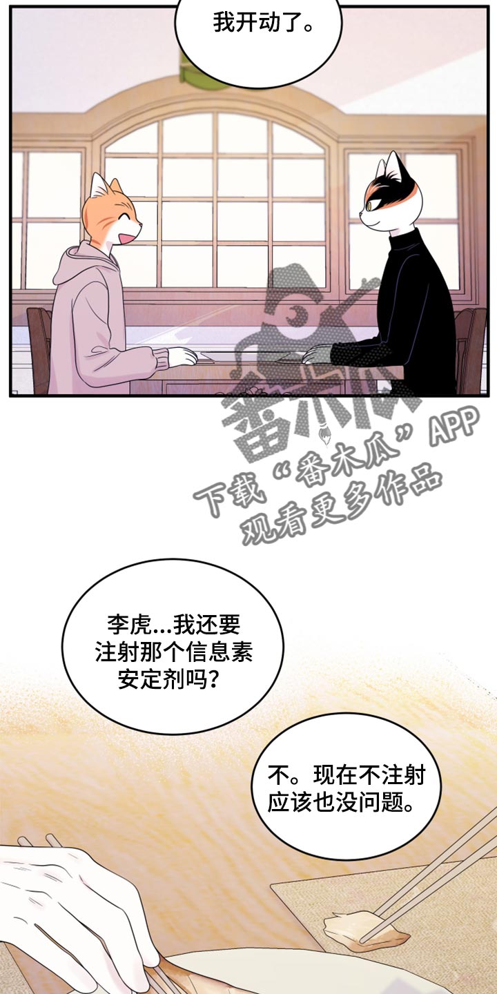 第73章：【第二季】绑架灵猫7