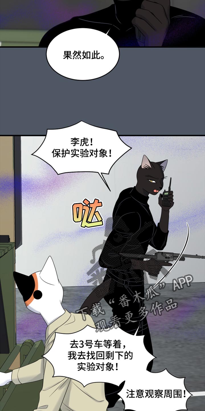 第81章：【第二季】中弹13