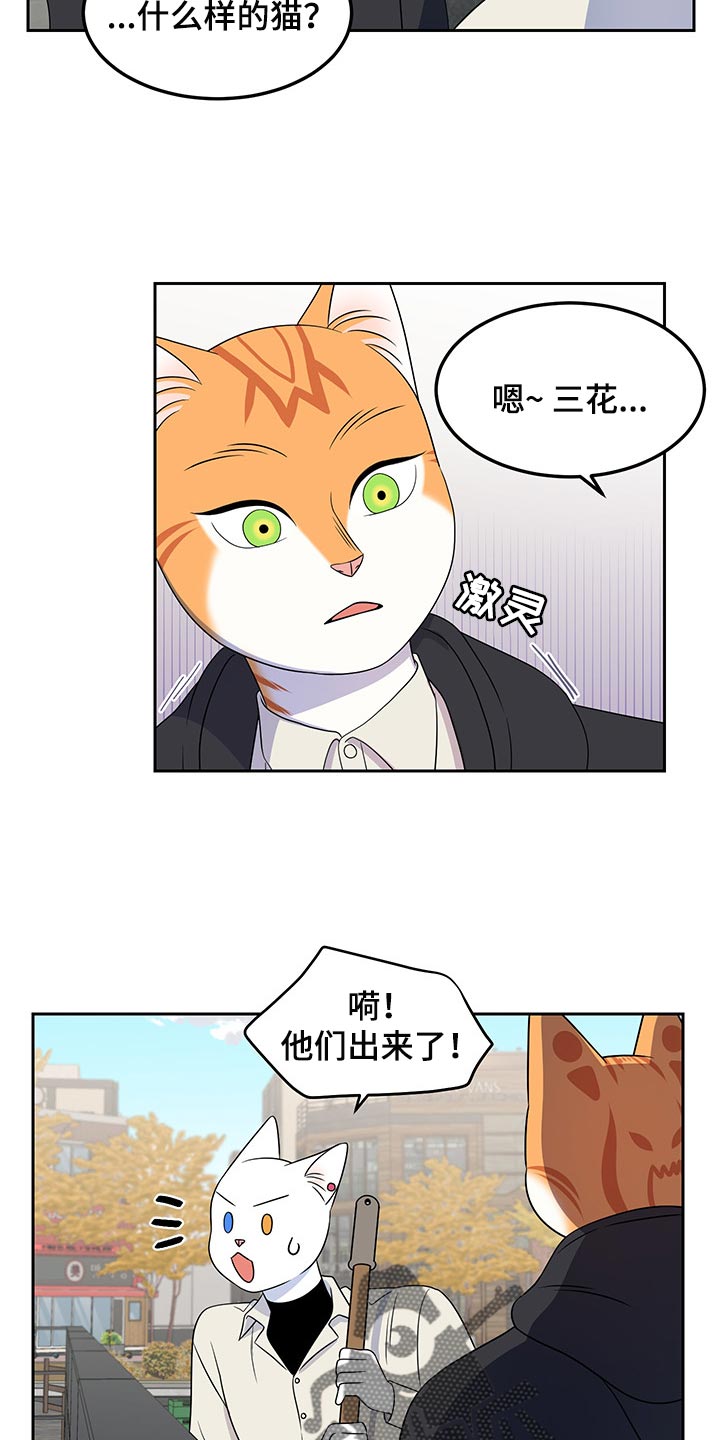 第43章：世道不太平16