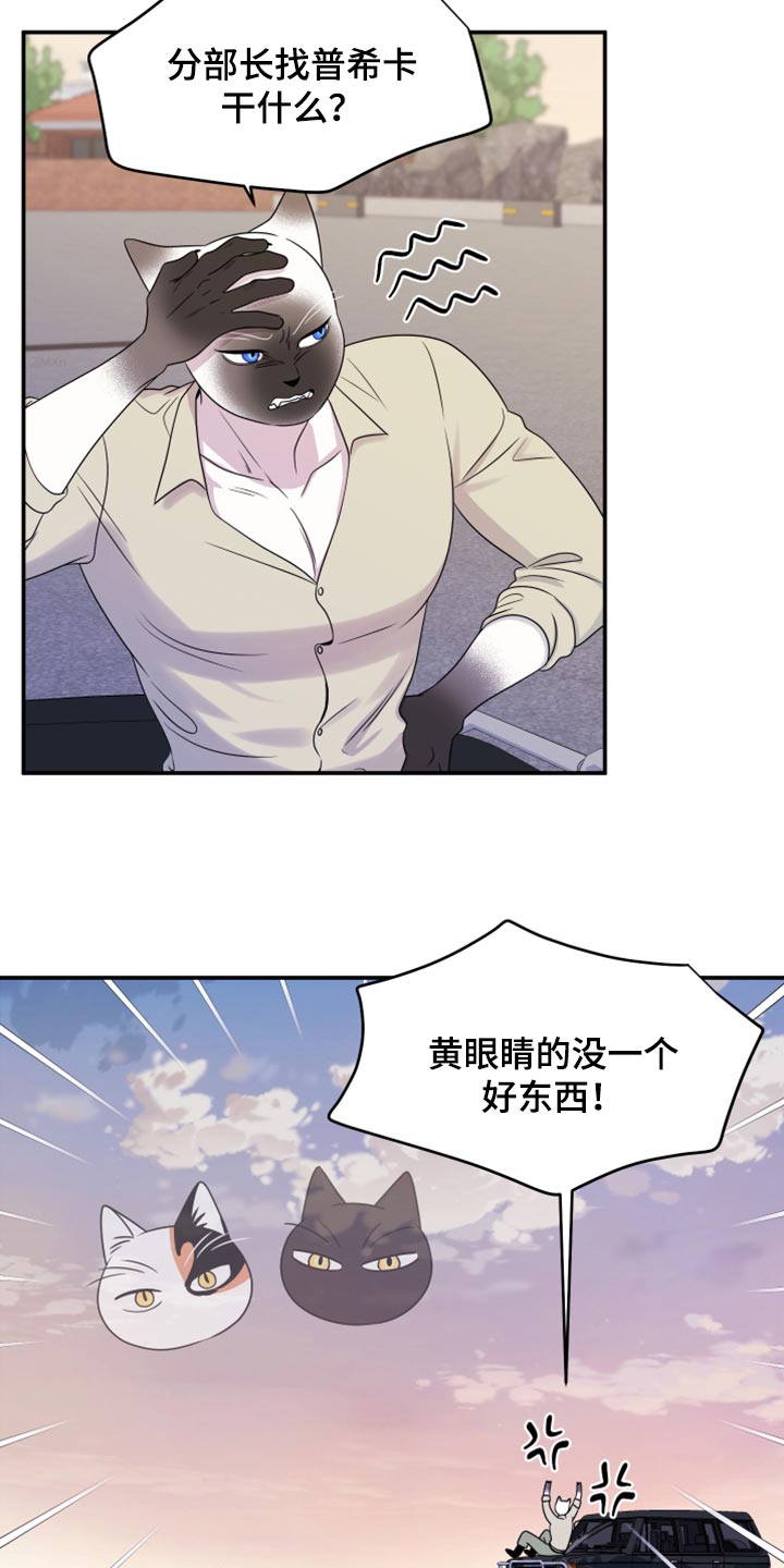 第58章：【第二季】总有一天会回来1