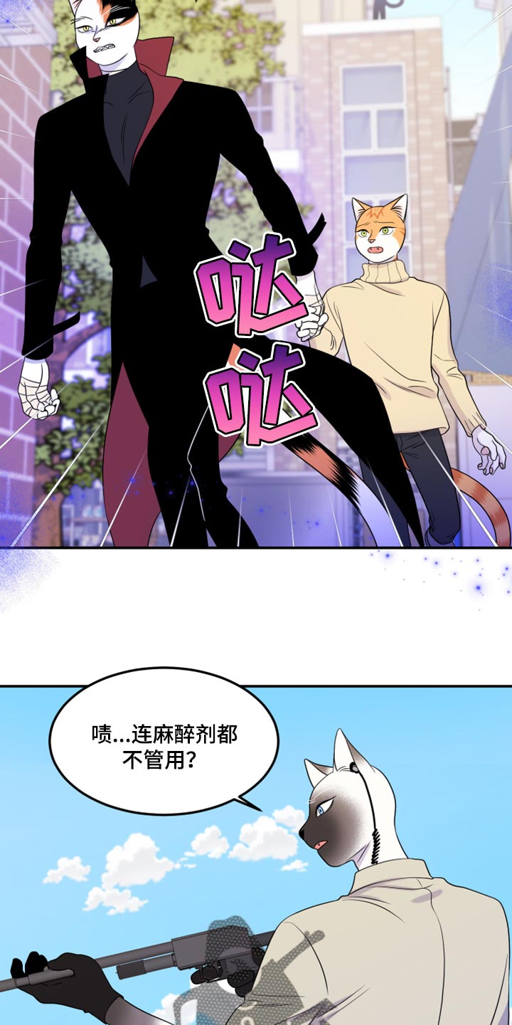 第49章：让我保护你5