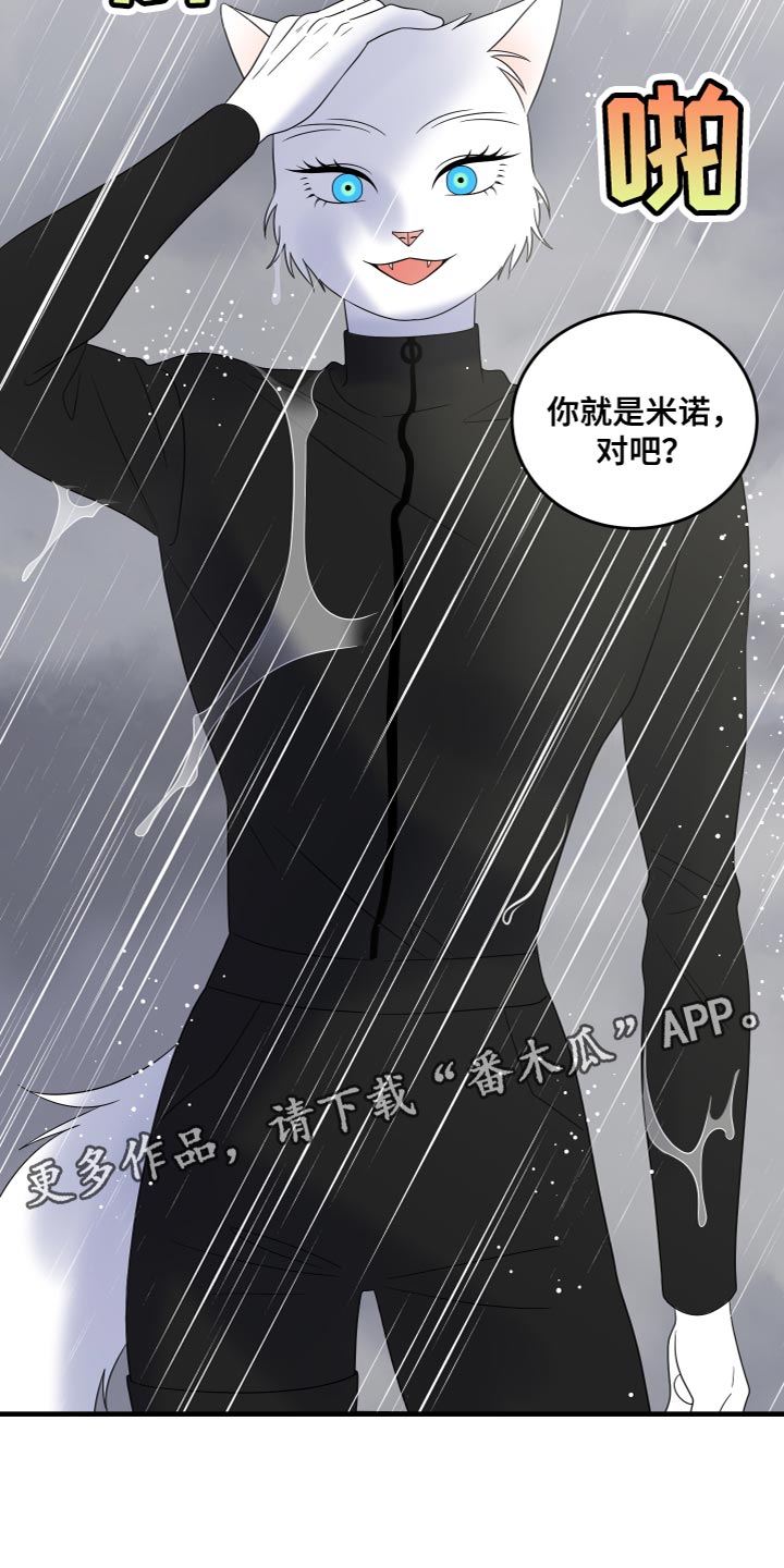 第110章：【第二季完结】该回家了15