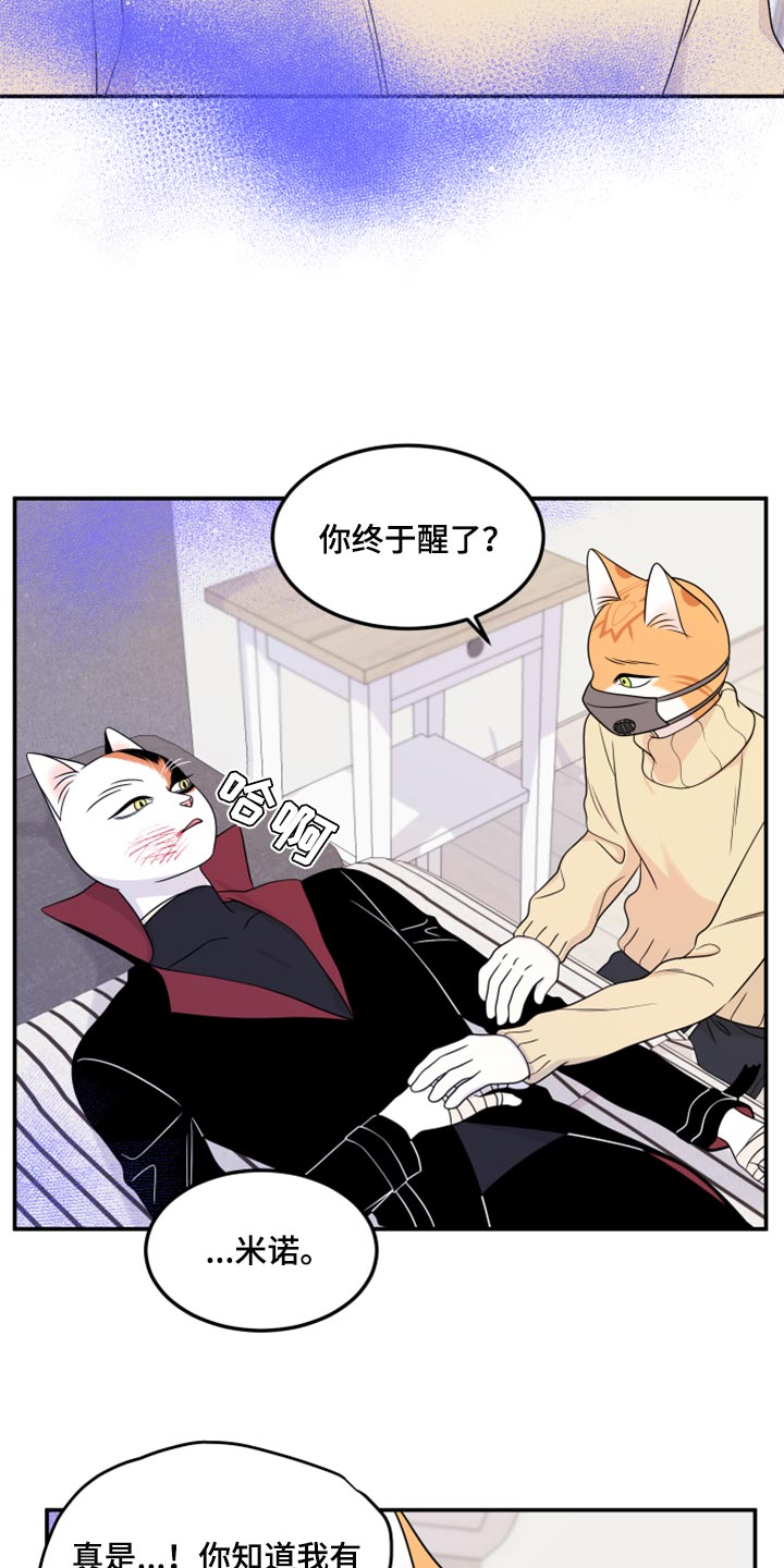 第52章：我的人生我做主（第一季完结）12