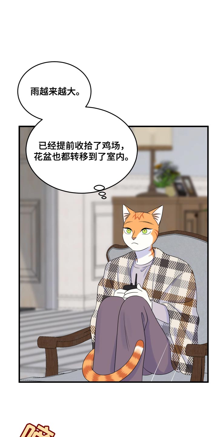第109章：【第二季】我要回岛上1