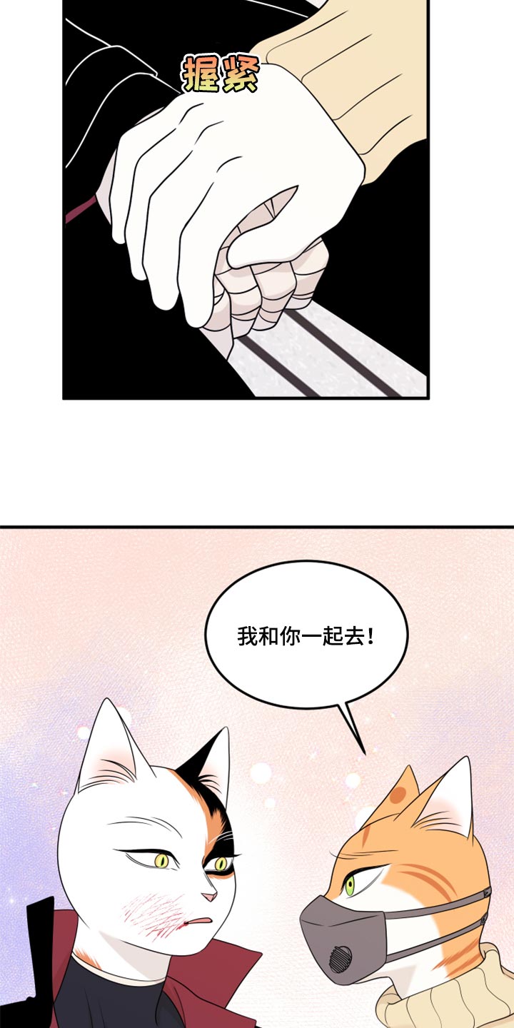 第52章：我的人生我做主（第一季完结）19