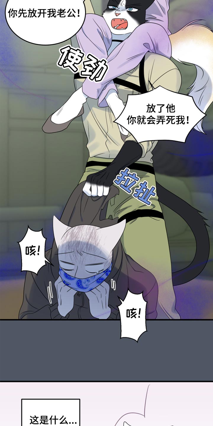 第84章：【第二季】爆炸12