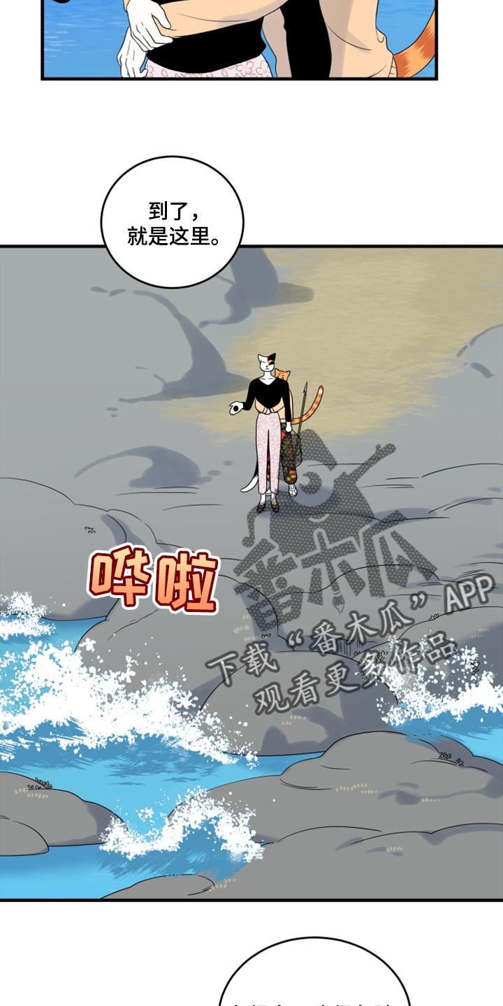 第67章：【第二季】钓鱼19