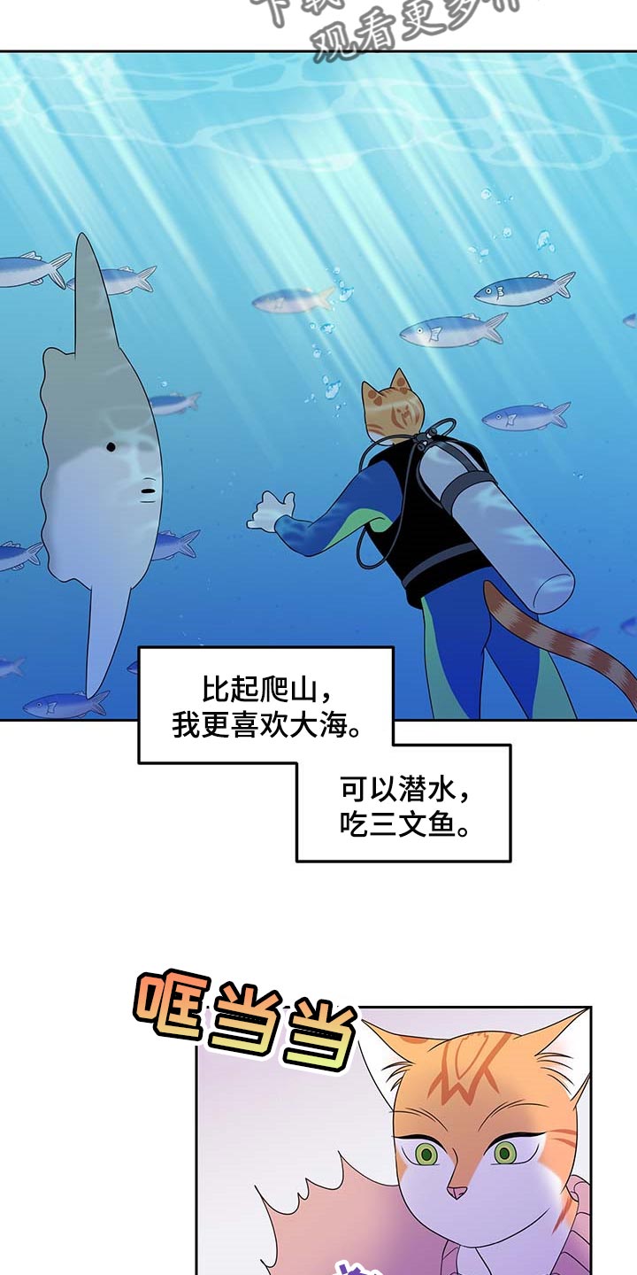 第41章：重新回到平静的生活16