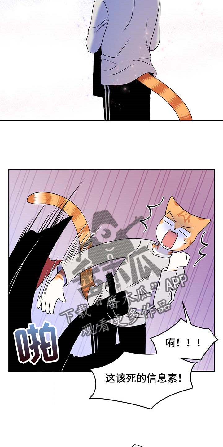 第42章：联系方式17