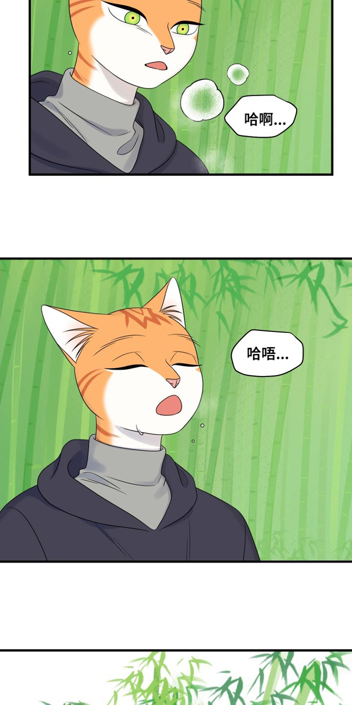 第98章：【第二季】想回去19