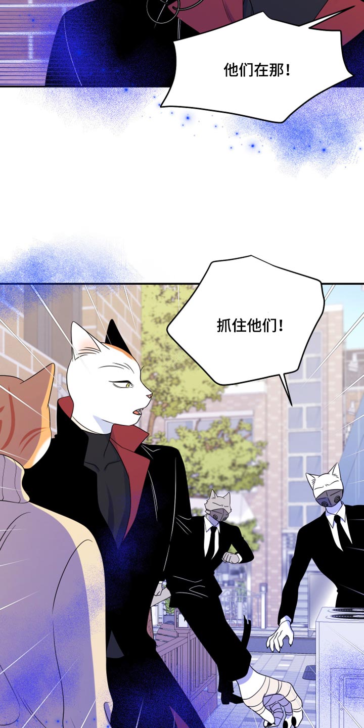 第49章：让我保护你11