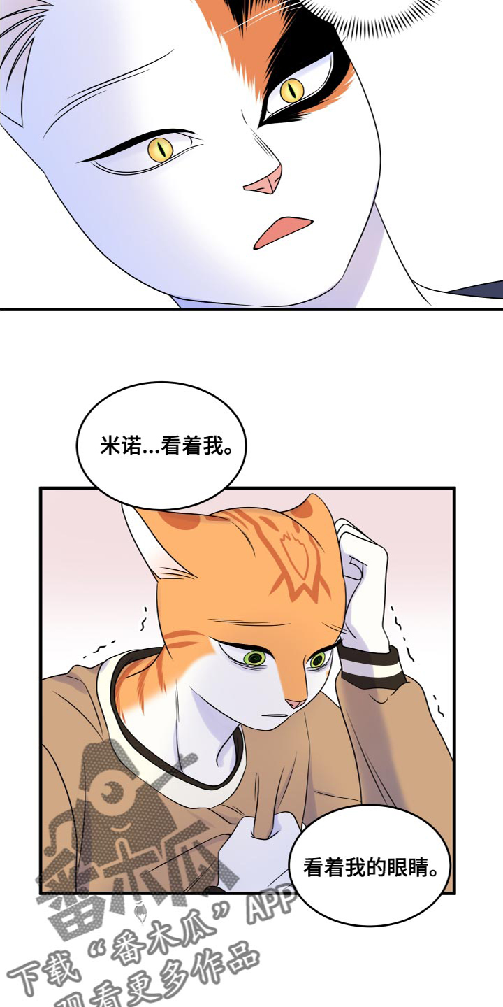 第95章：【第二季】害怕洞穴14