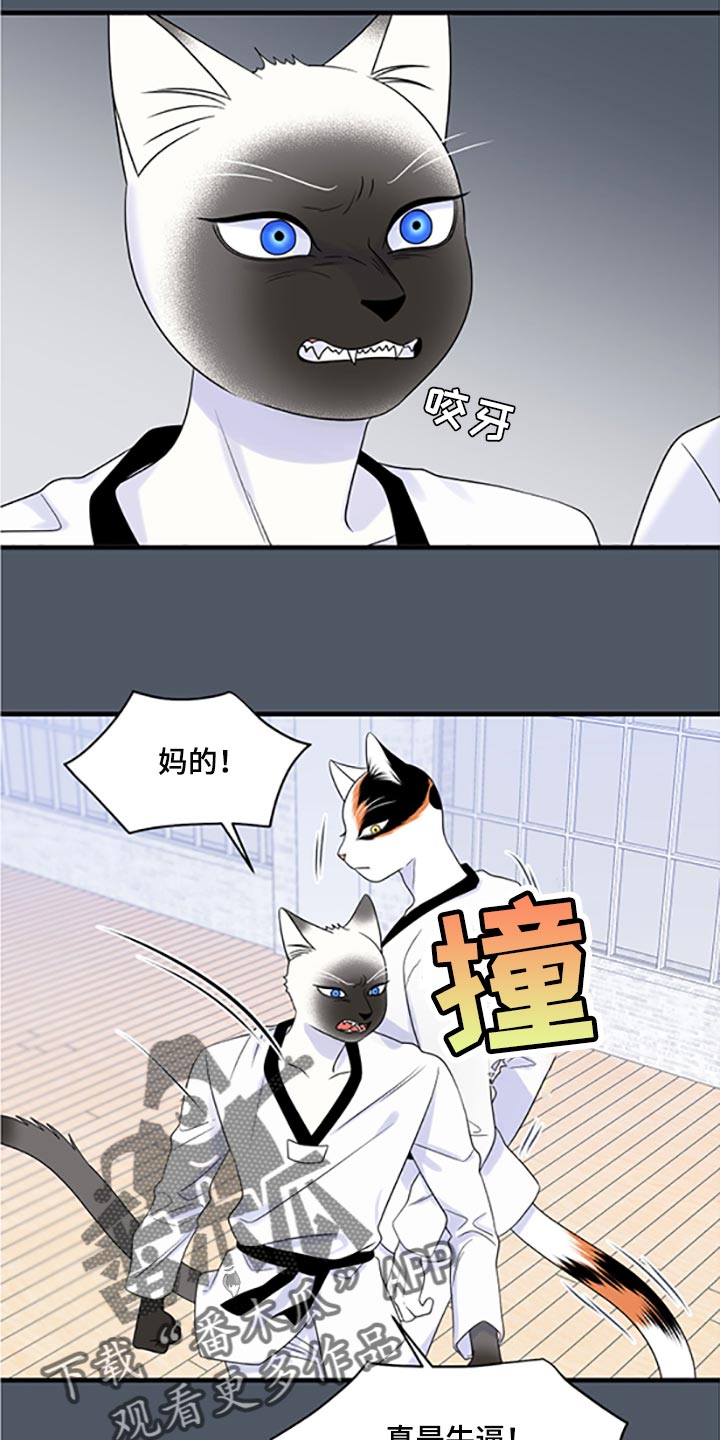 第77章：【第二季】一定要在一起！2