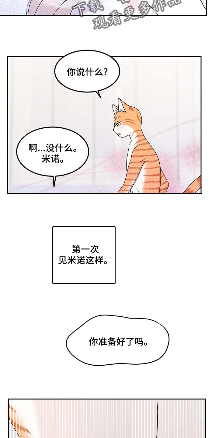 第46章：征服12