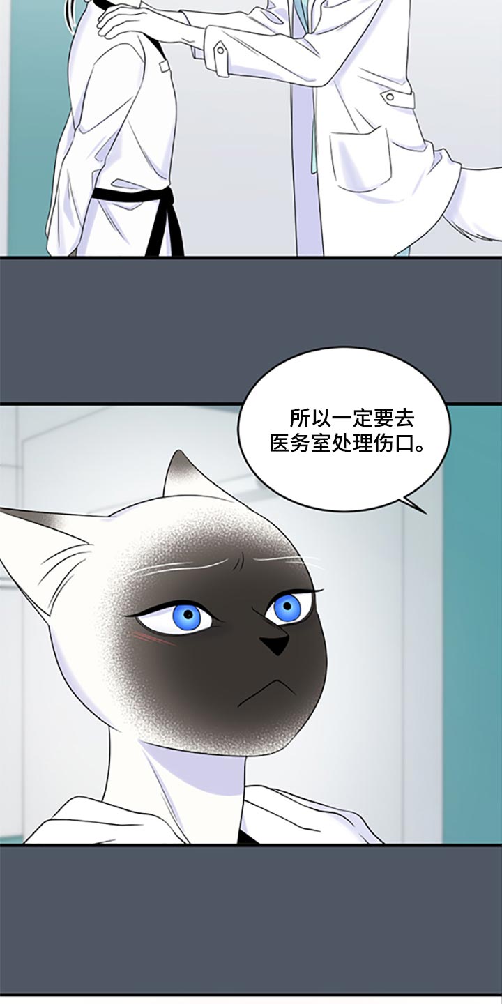 第77章：【第二季】一定要在一起！15