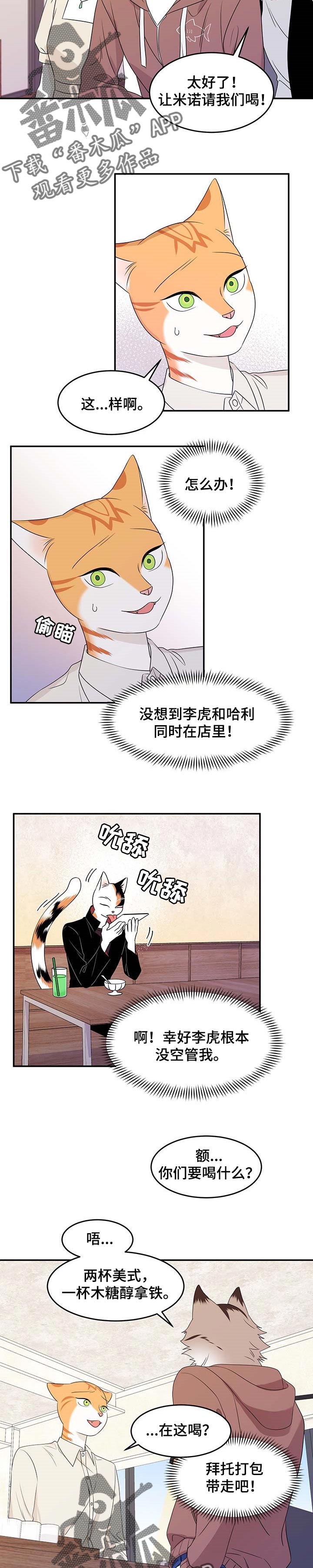 第23章：担心1