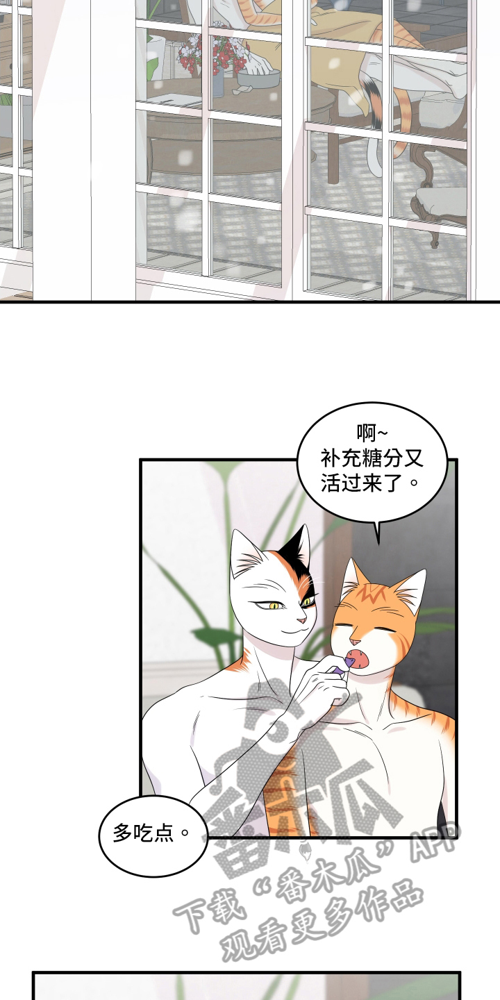 第105章：【第二季】分析5