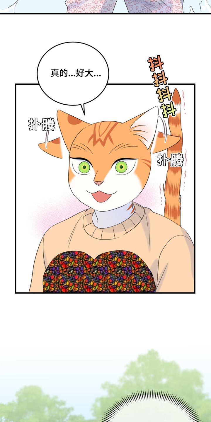 第68章：【第二季】狩猎本能4