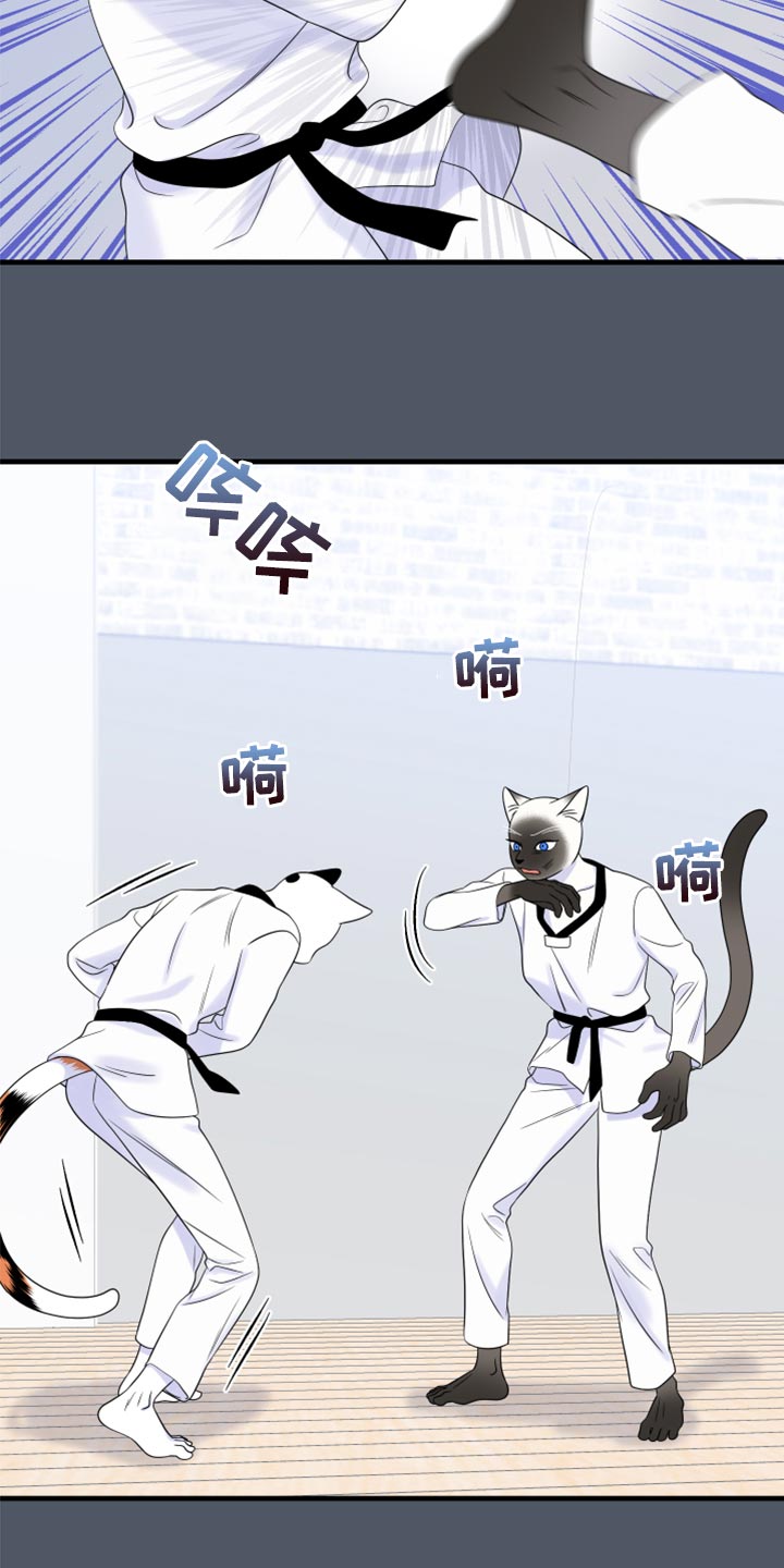 第76章：【第二季】有什么特别4