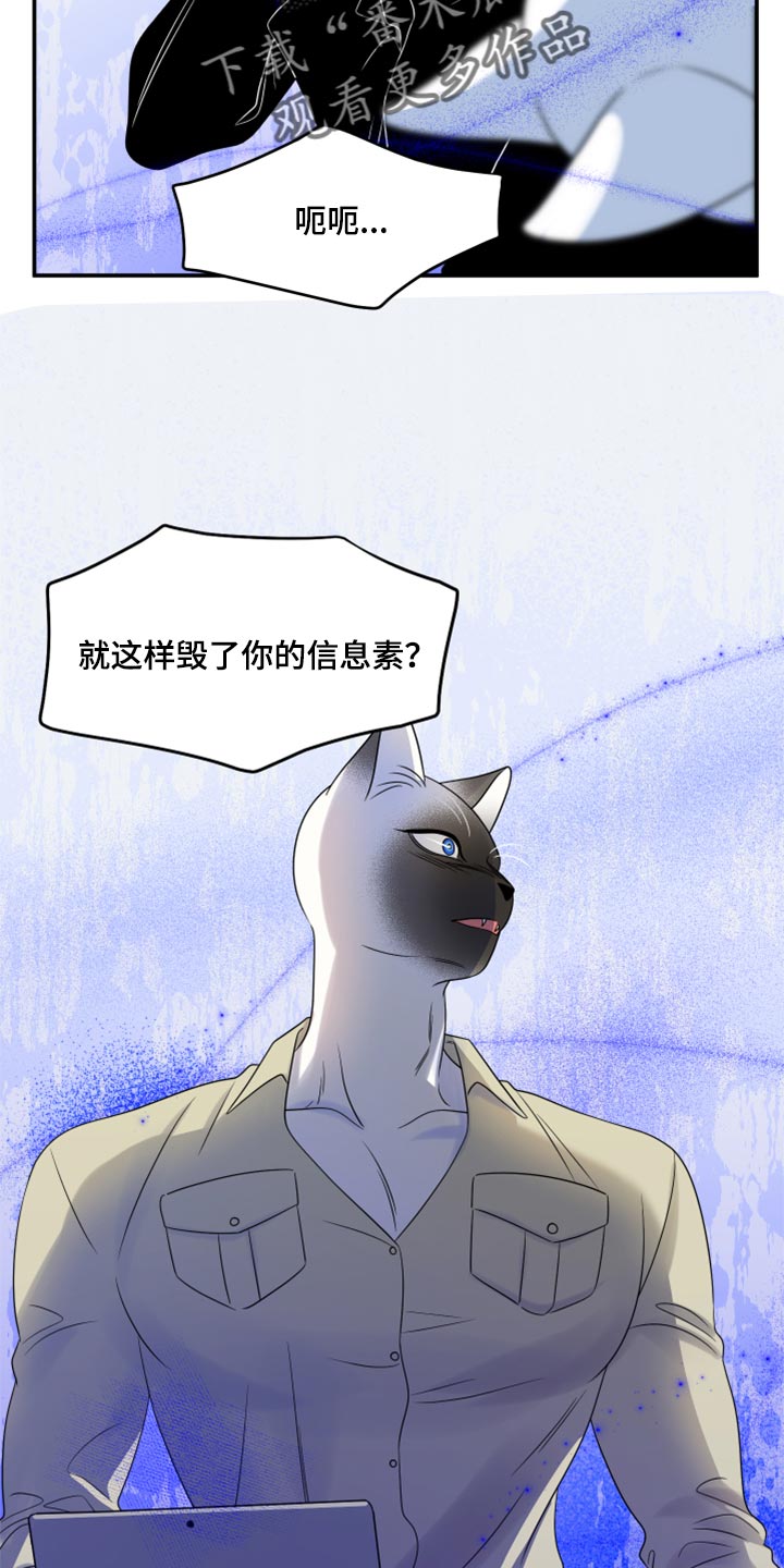 第56章：【第二季】人工阿尔法16