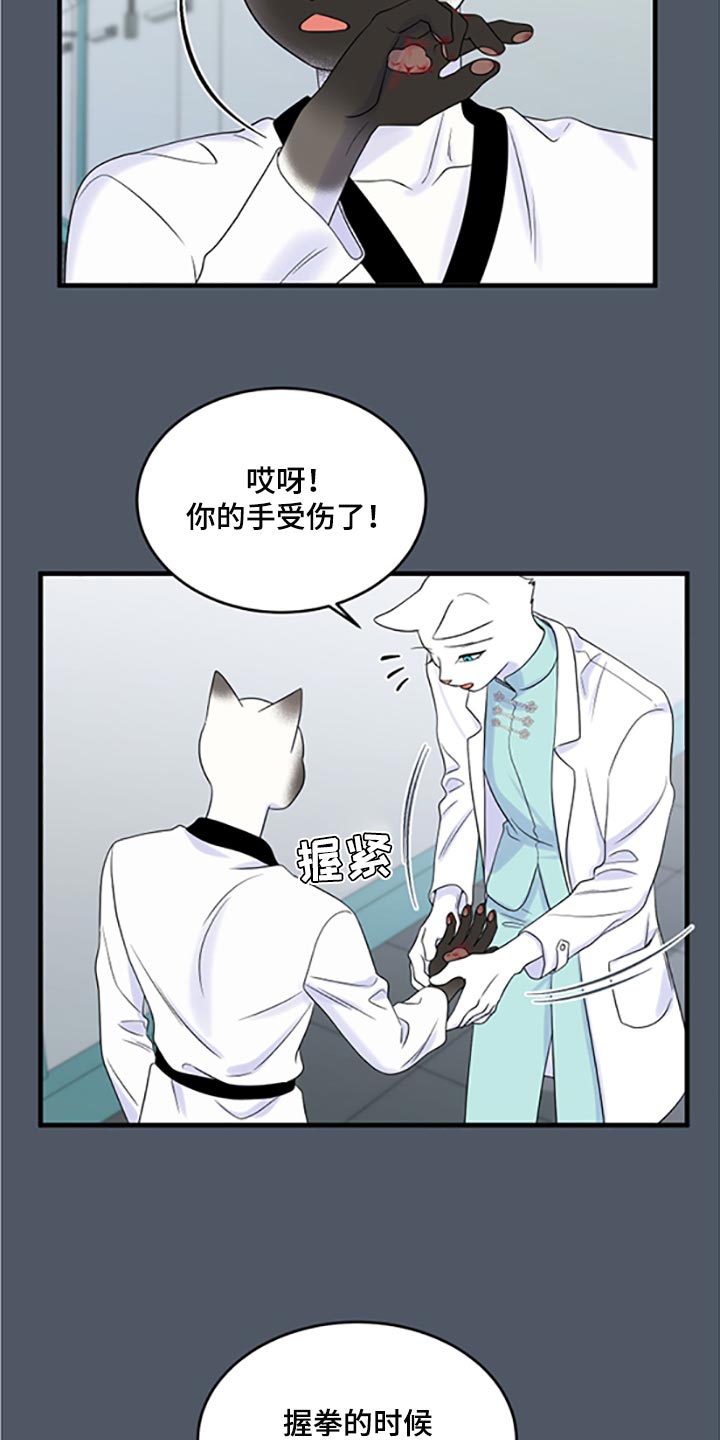 第77章：【第二季】一定要在一起！11