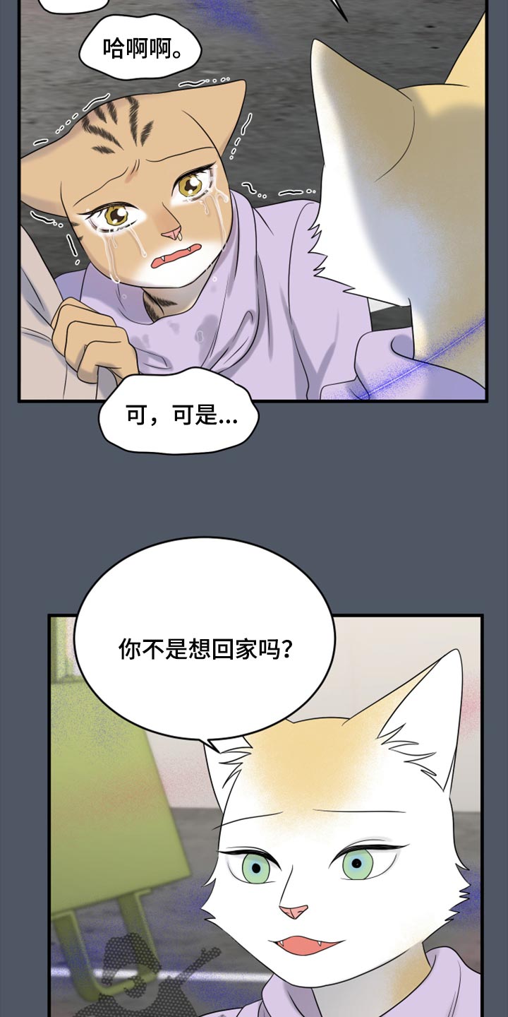第81章：【第二季】中弹26