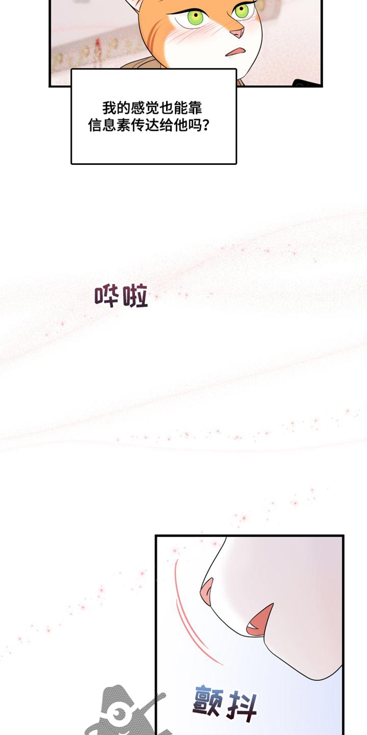 第104章：【第二季】更重要的事14