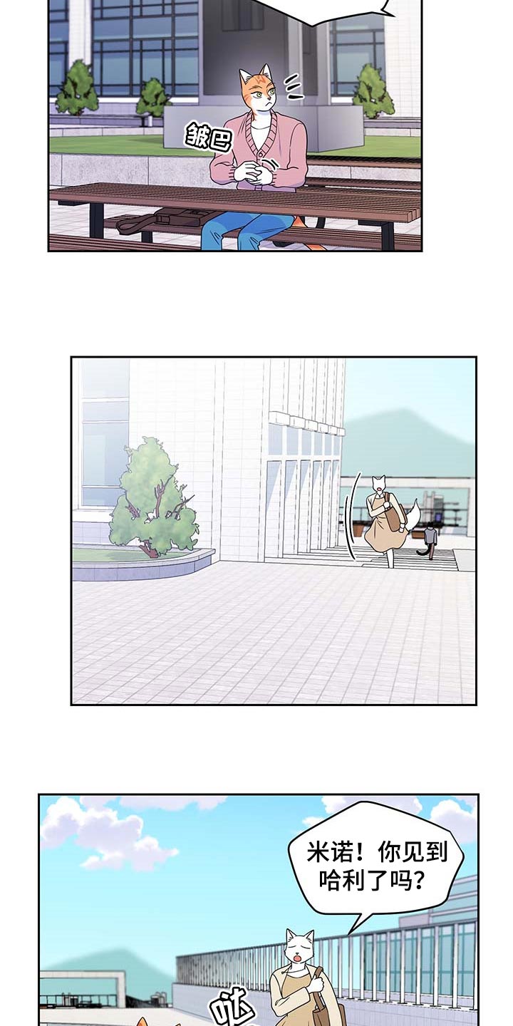 第41章：重新回到平静的生活20