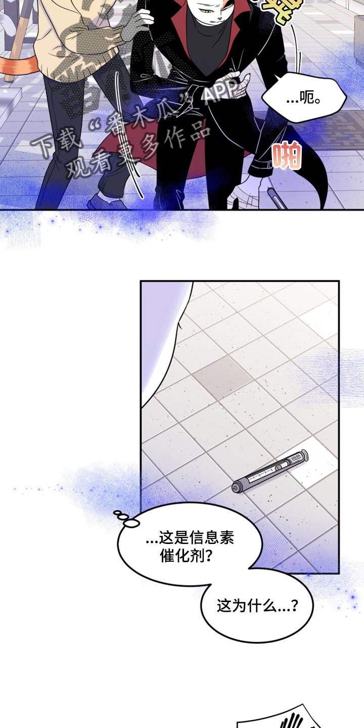 第49章：让我保护你1