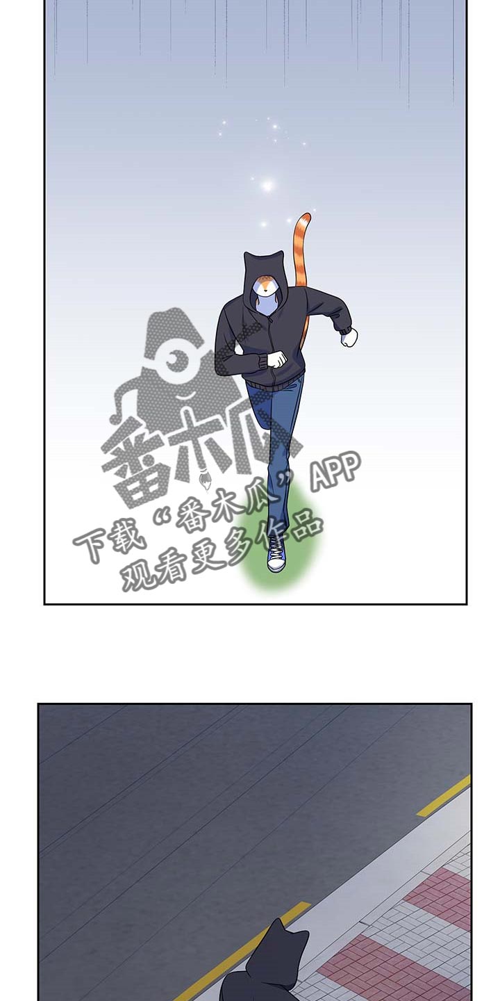 第41章：重新回到平静的生活5
