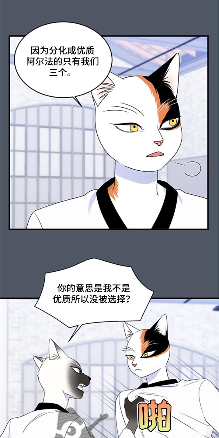 第77章：【第二季】一定要在一起！0