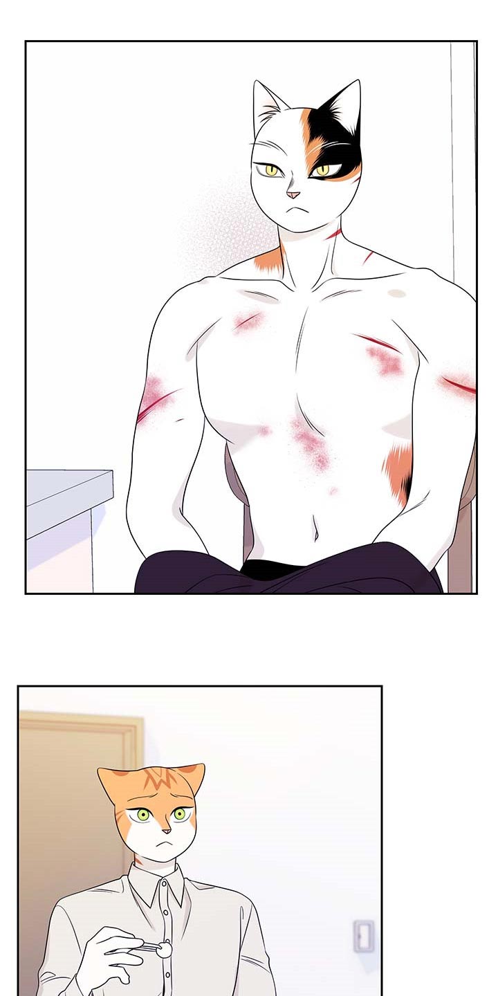 第45章：别哭3
