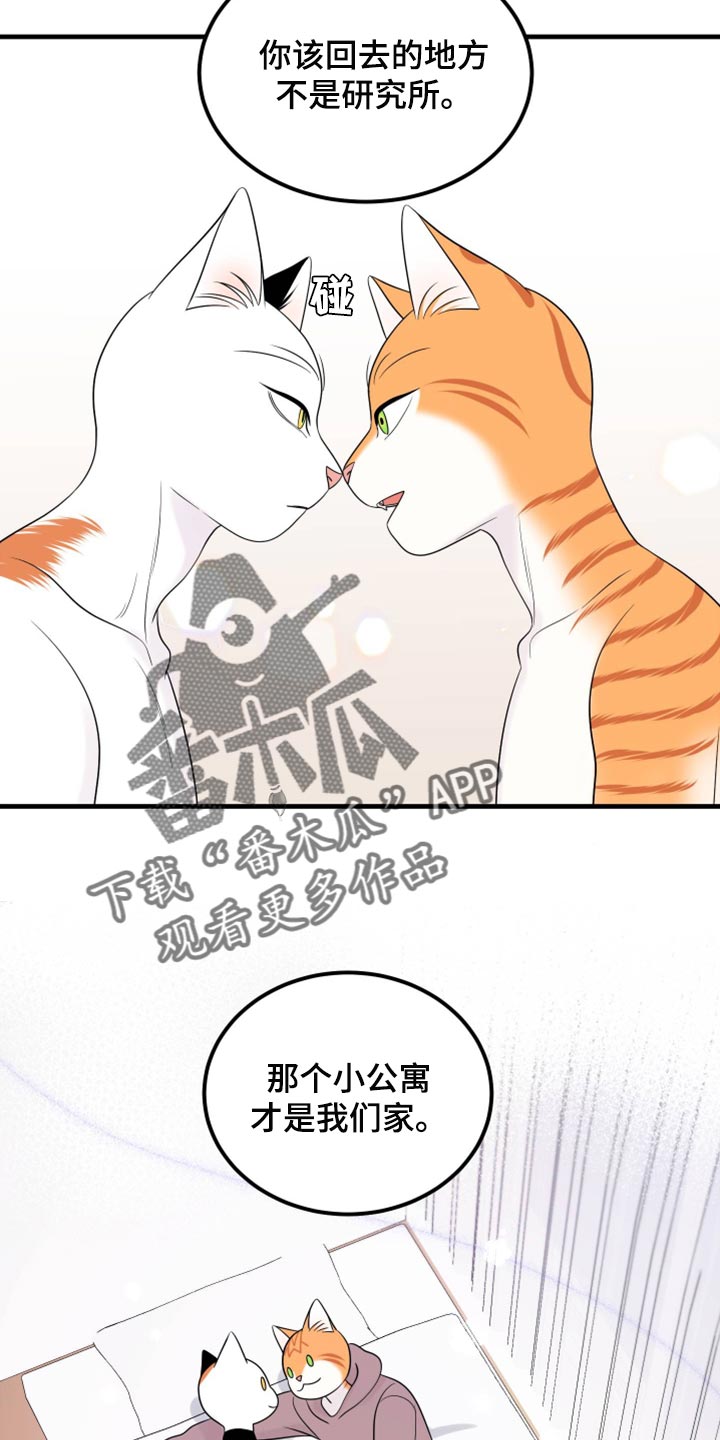 第71章：【第二季】撒娇13