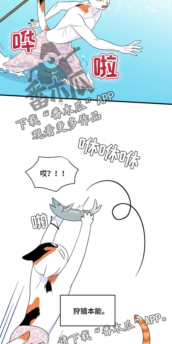 第68章：【第二季】狩猎本能22