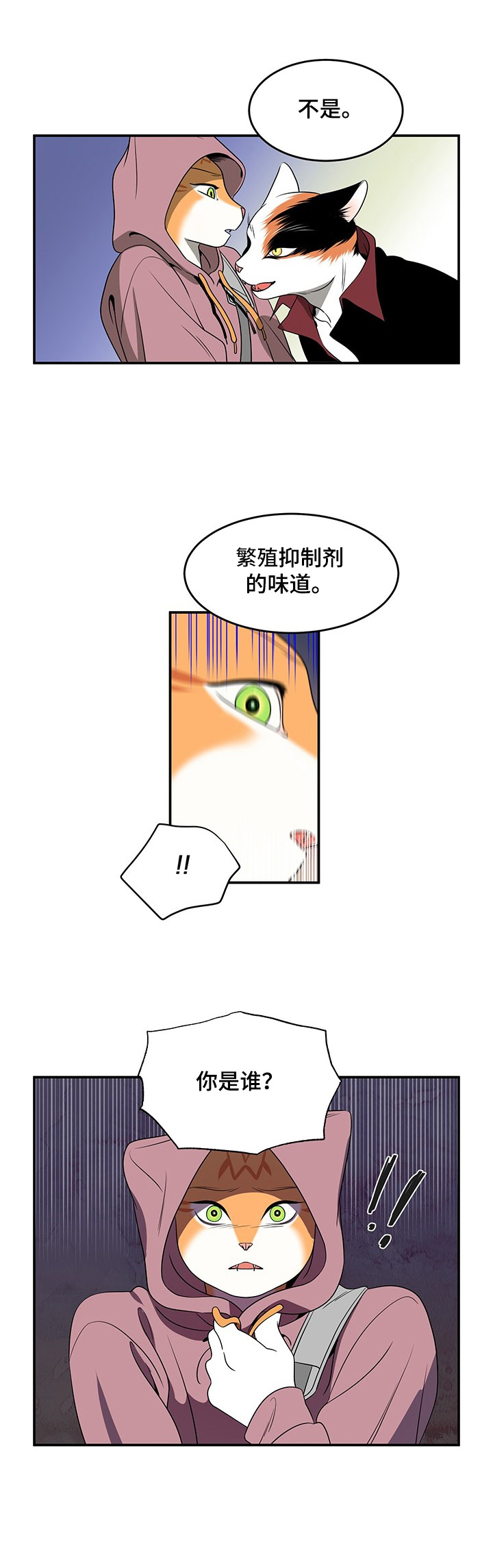 第1章：灵猫5