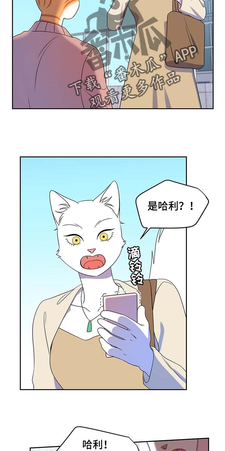 第42章：联系方式1
