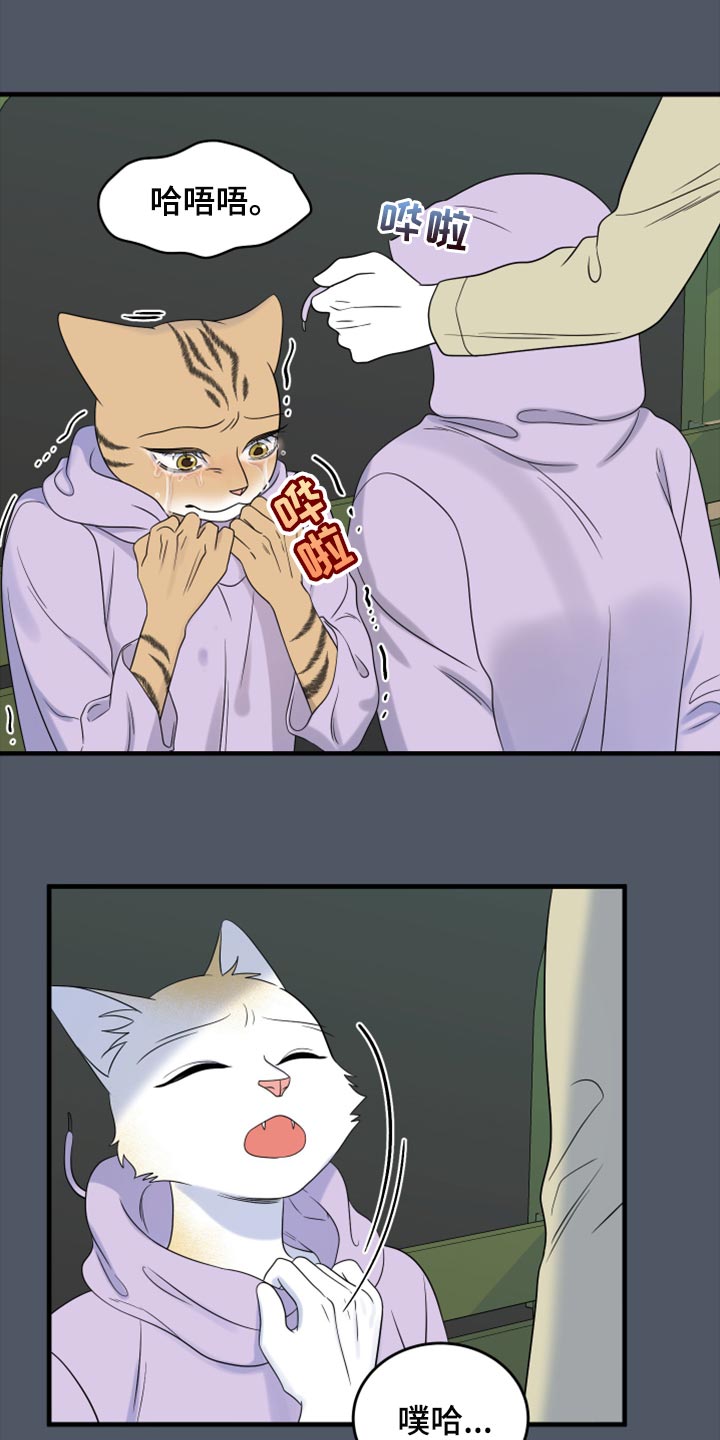 第81章：【第二季】中弹17