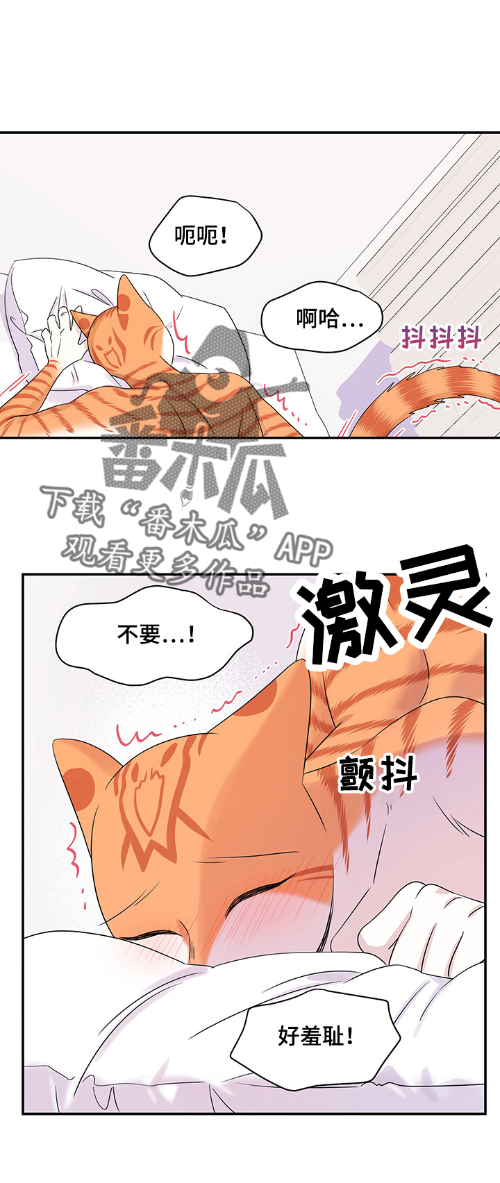 第12章：义务9